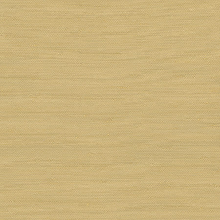 Rumi Gold Dust by Carole Fabric Gala 100% Polyester India  None 54"  - Fabric Carolina -