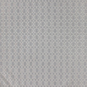 Cozy Up Dove Grey by Carole Fabric