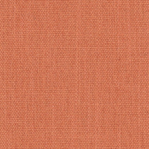 Resolve Canyon by Carole Fabric