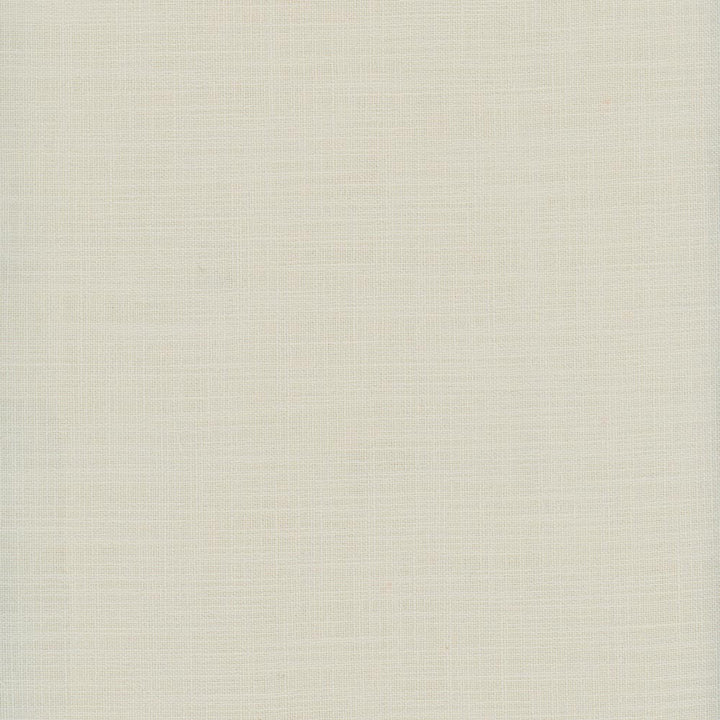 Fundamental Linen by Carole Fabric Fundamental 100% Polyester Turkey Passes 20,000 Double Rubs Wyzenbeek Horizontal: 0 and Vertical: 0 54 - Fabric Carolina -