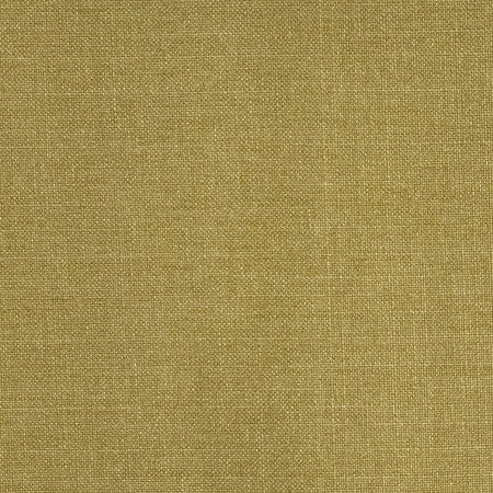 Communication Olive by Carole Fabric Power Play 100% Polyester N/A None 58" - Fabric Carolina -