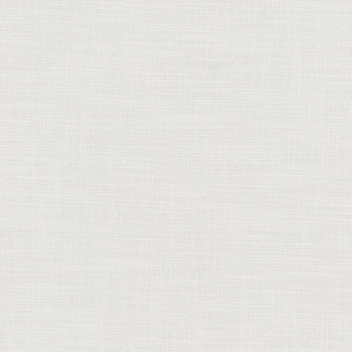 Fundamental Pewter by Carole Fabric Fundamental 100% Polyester Turkey Passes 20,000 Double Rubs Wyzenbeek Horizontal: 0 and Vertical: 0 54 - Fabric Carolina -