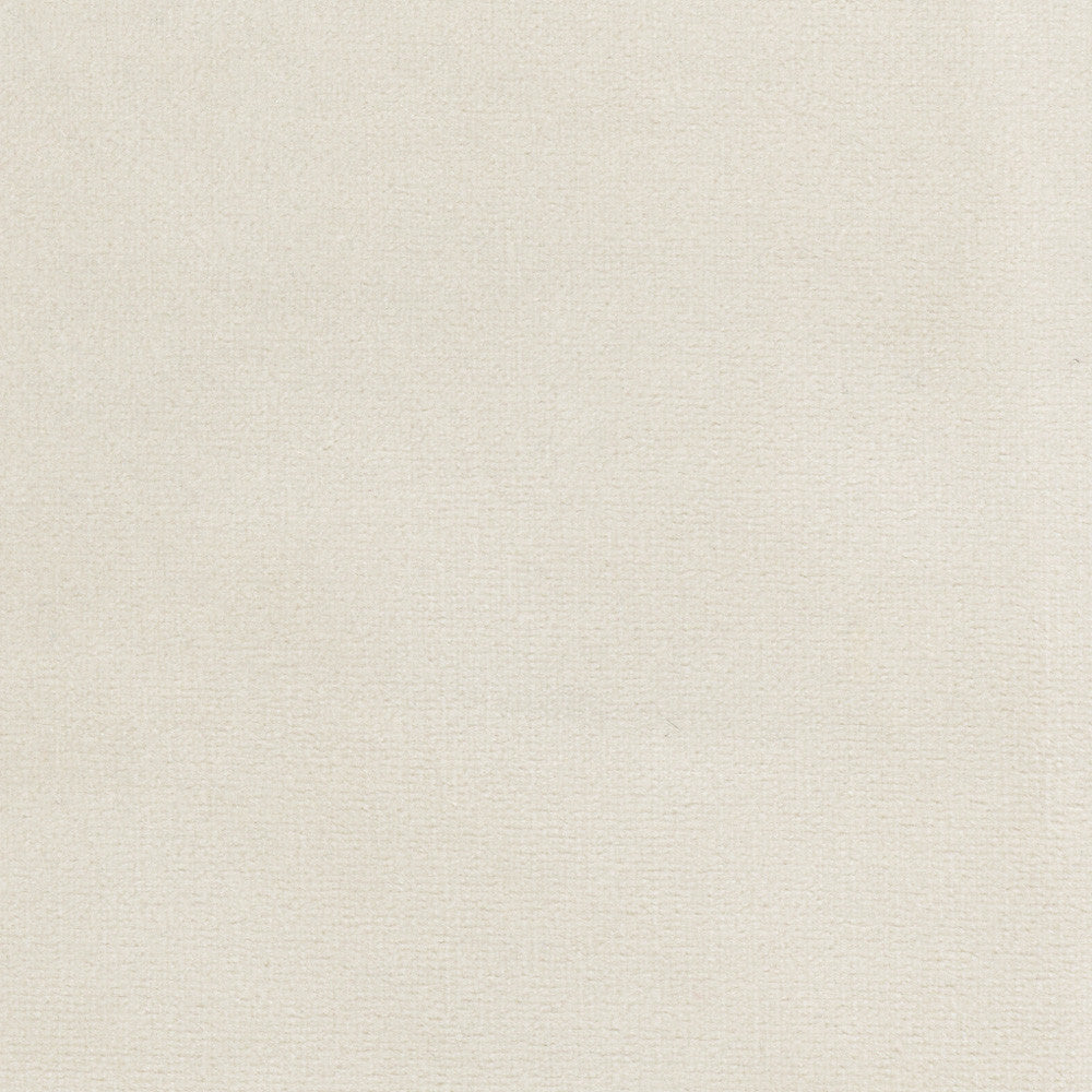 Plush Touch Oyster by Carole Fabric Touch Of Luxury 100% Polyester Knit Backing China 235,000 Wyzenbeek Double Rubs Horizontal: 0 and Vertical: 0 55 - Fabric Carolina -