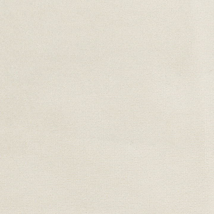 Plush Touch Oyster by Carole Fabric Touch Of Luxury 100% Polyester Knit Backing China 235,000 Wyzenbeek Double Rubs Horizontal: 0 and Vertical: 0 55 - Fabric Carolina -