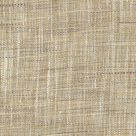 Tire Swing Barley by Carole Fabric For The Window 100% Polyester India N/A </p><p>Repeat: None 56" - Fabric Carolina -