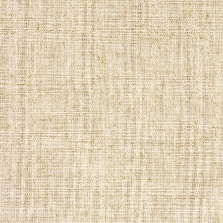 Critic Natural by Carole Designer Fabric Toasted Almond 85% Polyester, 15% Linen INDIA N/A None 54" - Swanky Fabrics -
