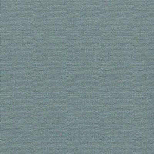 Sashay Wedgewood by Carole Fabric