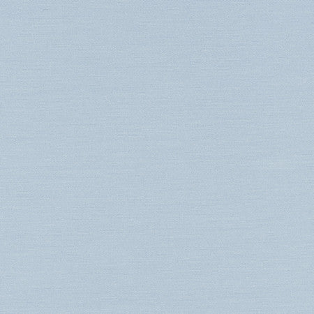 Comfort French by Carole Fabric Daydreaming 100% Cotton India Passes 21,000 Double Rubs Wyzenbeek None 54"  - Fabric Carolina -