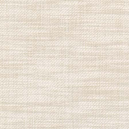 From The Start Cream by Carole Fabric See It Through 66% Cotton, 34% Polyester India N/A None 55.25"  - Fabric Carolina -