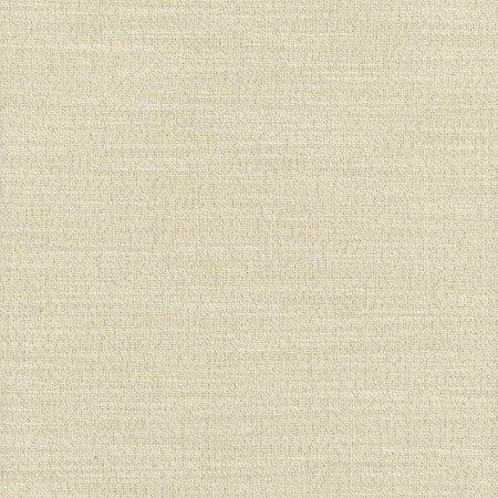 Say Yes Glint by Carole Designer Fabric WINNER'S CIRCLE 78% Polyester, 22% Viscose India N/A None 55" - Swanky Fabrics -