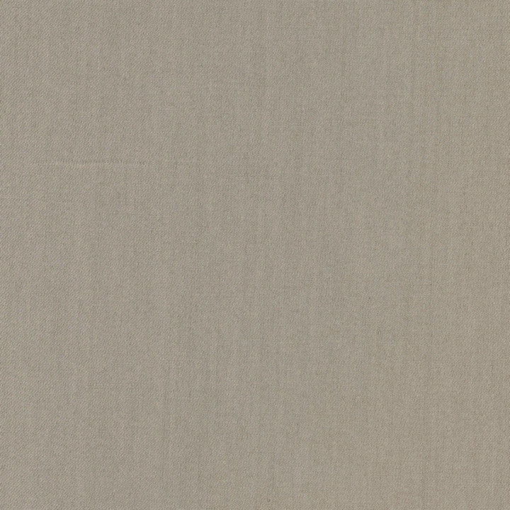 Comfort Seal by Carole Designer Fabric Daydreaming 100% Cotton India Passes 21,000 Double Rubs Wyzenbeek Horizontal: 0 and Vertical: 0 54 - Swanky Fabrics -