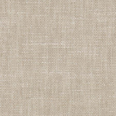 Bessarion Feather by Carole Designer Fabric Prominence 71% Polyester, 29% Cotton India None 55" - Swanky Fabrics -
