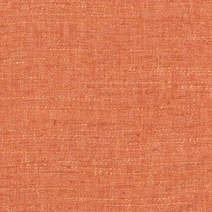 Training Day Clementine by Carole Fabric