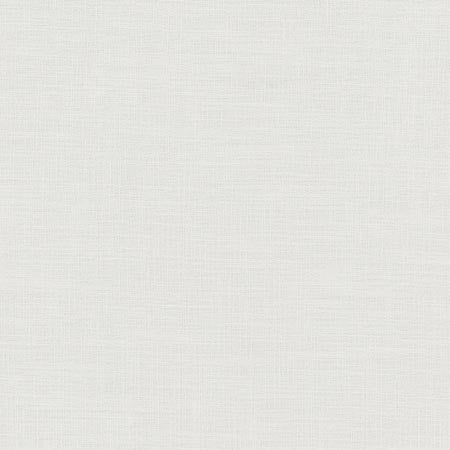 Fundamental Pewter by Carole Fabric FUNDAMENTAL 100% Polyester Turkey Passes 20,000 Double Rubs Wyzenbeek Horizontal: 0" and Vertical: 0" 54" - Fabric Carolina -