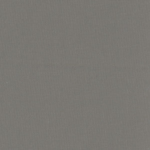 Daydreamer Ash Grey by Carole Fabric