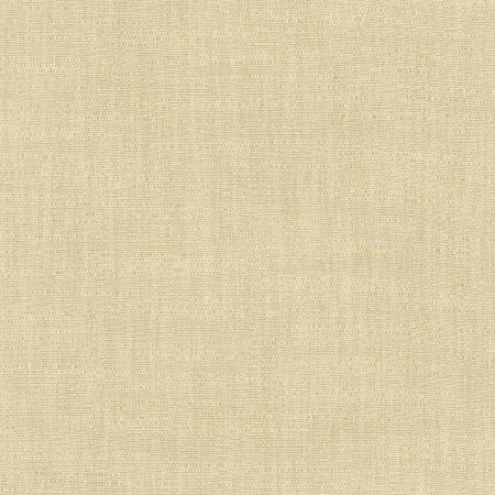 Athlete Tan by Carole Fabric Chestnut 60% Cotton, 40% Polyester India Passes 50,000 Double Rubs Wyzenbeek </p><p>Repeat: None 55" - Fabric Carolina -