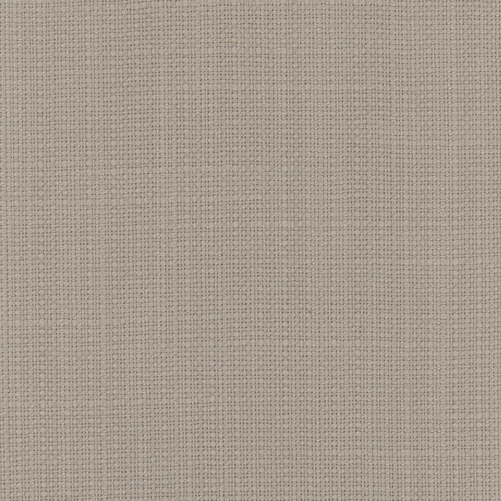 Narration Birch by Carole Fabric Narrator 100% Polyester Mexico Passes 30,000 Double Rubs Wyzenbeek Horizontal: 0 and Vertical: 0 54 - Fabric Carolina -