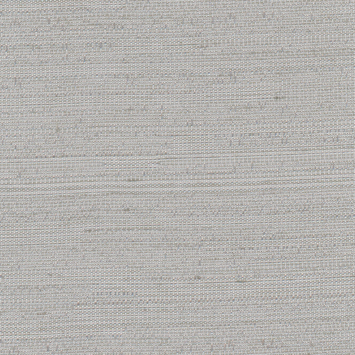 Aiden Pearl Grey by Carole Fabric Pewter 100% Polyester India N/A Horizontal: 0 and Vertical: 0 54 - Fabric Carolina -