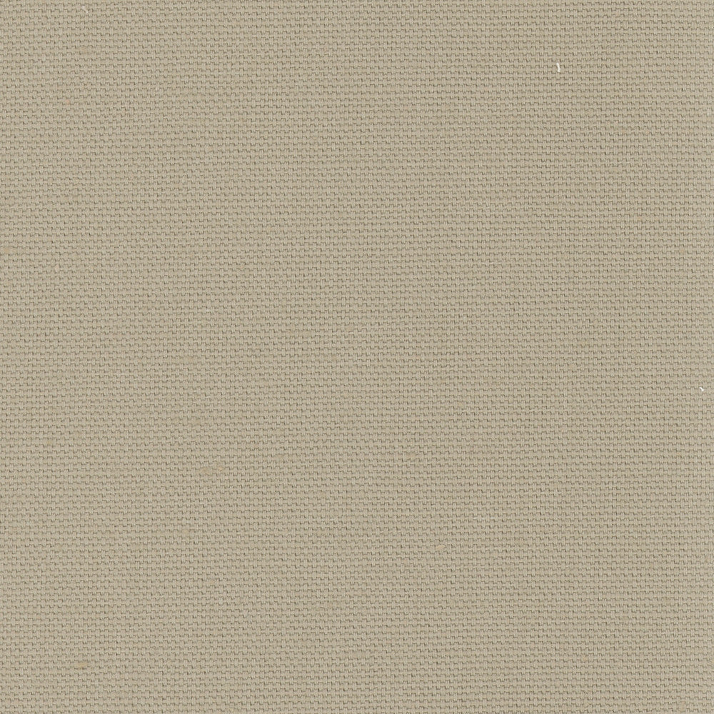 Daydreamer Beach by Carole Fabric Daydreaming 100% Cotton- Soil Release USA Passes 30,000 Double Rubs Wyzenbeek Horizontal: 0 and Vertical: 0 54 - Fabric Carolina -