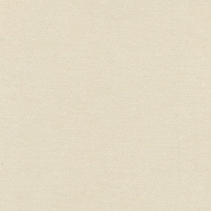 Warm Up Stone by Carole Fabric