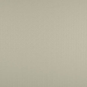 Zipped Up Vanilla by Carole Fabric