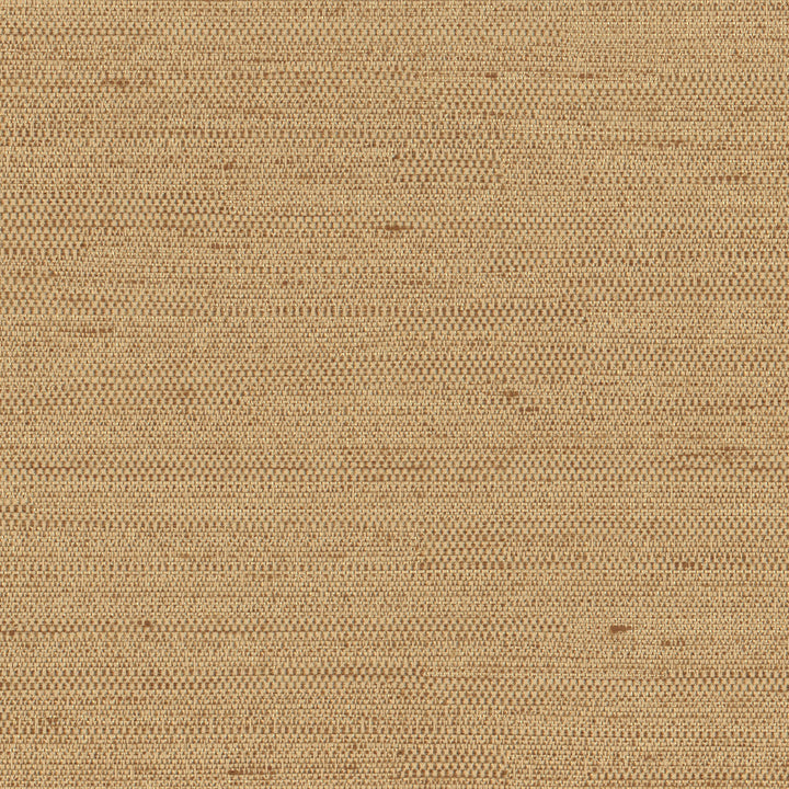 Aiden Camel by Carole Fabric Chestnut 100% Polyester India N/A Horizontal: 0 and Vertical: 0 54 - Fabric Carolina -