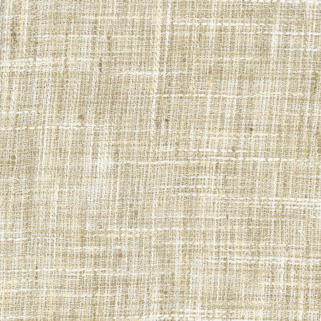 Tire Swing Latte by Carole Designer Fabric For The Window 100% Polyester India N/A </p><p>Repeat: None 56" - Swanky Fabrics -