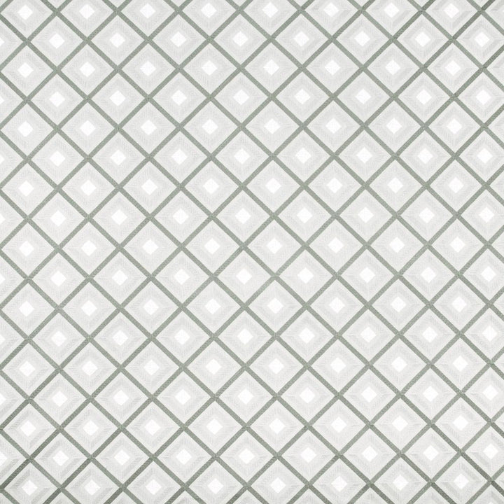 Time Will Tell Iron by Carole Fabric Silver Fox 52% Cotton, 48% Polyester India Passes 30,000 Double Rubs Wyzenbeek Horizontal: 4625 and Vertical: 4625 51 - Fabric Carolina -