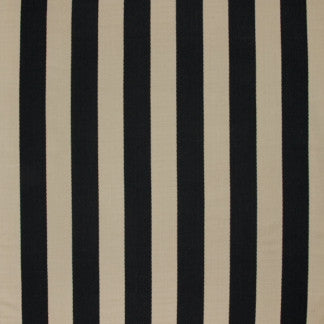 Metronome Black by Carole Fabric In Tune 100% Cotton India N/A </p><p>Repeat: 6 3/4" H 54" - Fabric Carolina -