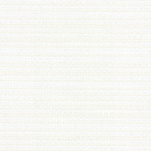 Endurance Bisque by Carole Fabric
