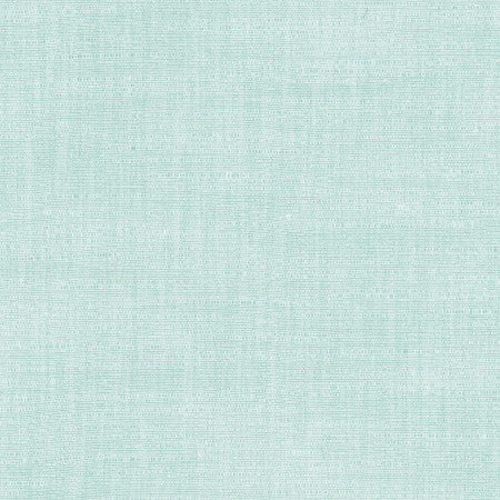 Athlete River by Carole Fabric Celadon 60% Cotton, 40% Polyester India Passes 50,000 Double Rubs Wyzenbeek </p><p>Repeat: None 55" - Fabric Carolina -
