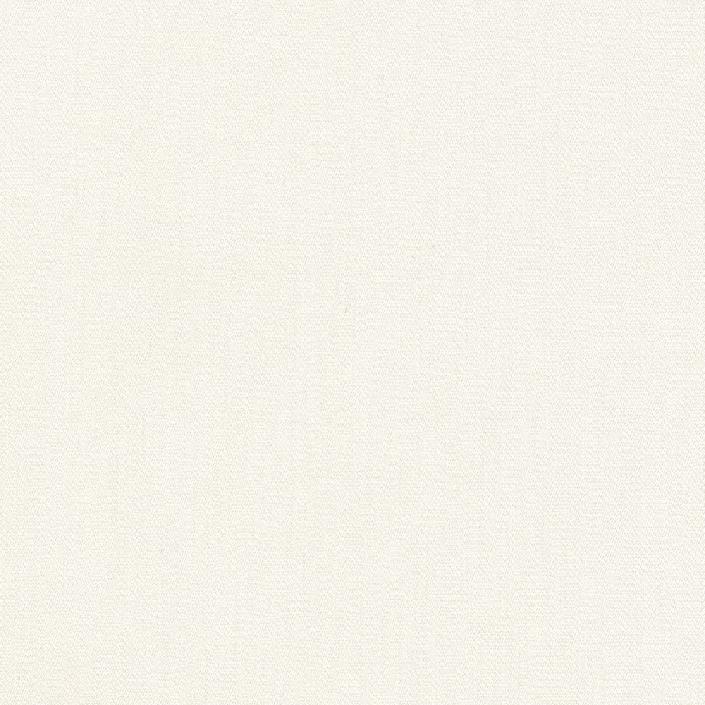 Comfort Alabaster by Carole Fabric Daydreaming 100% Cotton India Passes 21,000 Double Rubs Wyzenbeek Horizontal: 0 and Vertical: 0 54 - Fabric Carolina -