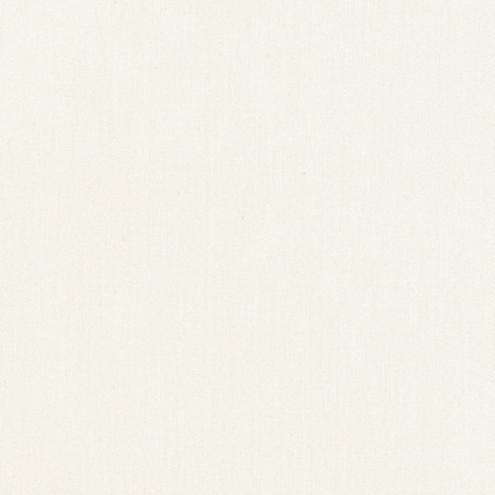 Comfort Alabaster by Carole Fabric Daydreaming 100% Cotton India Passes 21,000 Double Rubs Wyzenbeek Horizontal: 0 and Vertical: 0 54 - Fabric Carolina -