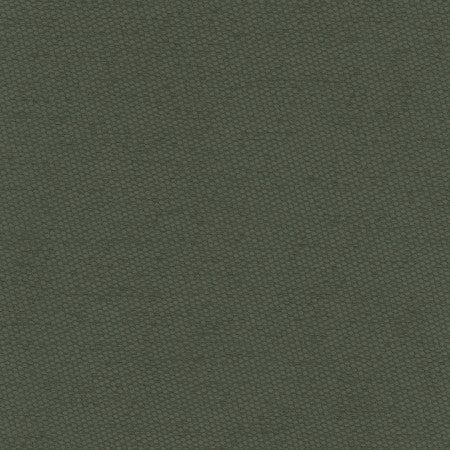 Fact Finder Seaweed by Carole Designer Fabric Celadon 100% Polyester Turkey Passes 40,000 Double Rubs Wyzenbeek None 59" - Swanky Fabrics -