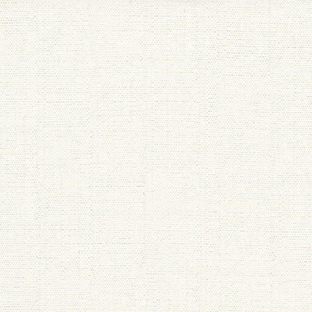 Cortland Snow by Carole Fabric Gala 100% Polyester India 30,000 WYZENBEEK DOUBLE RUBS None 54.75"  - Fabric Carolina -
