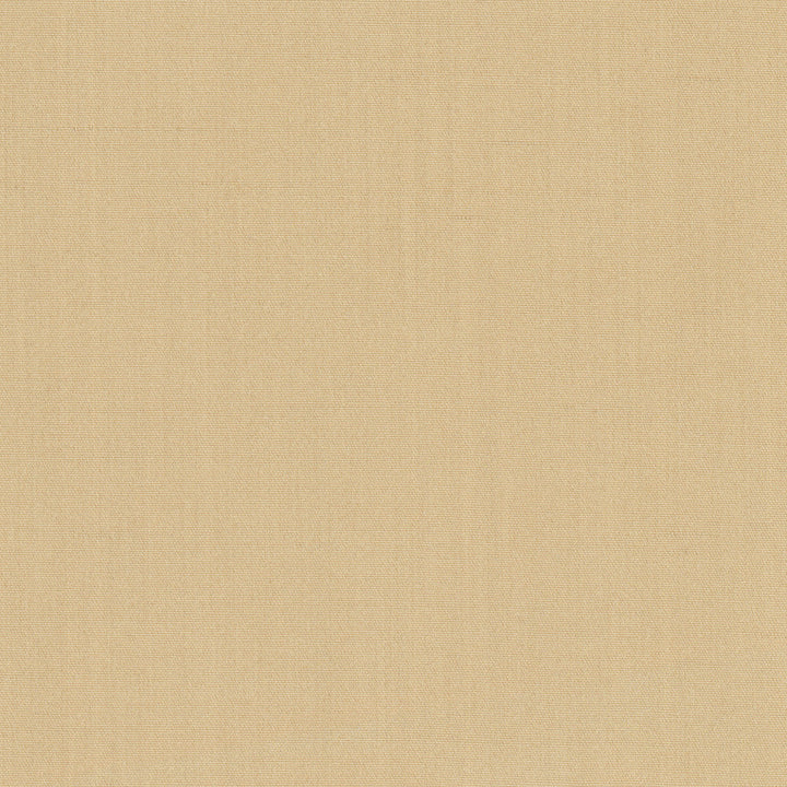 Tempt Cedar by Carole Fabric Royale 100% IFR Polyester India Passes 45,000 Double Rubs Wyzenbeek Horizontal: 0 and Vertical: 0 54 - Fabric Carolina -