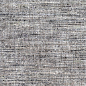 Prodigy Granite by Carole Fabric