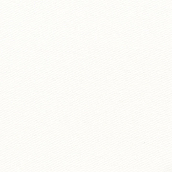 More Time White by Carole Fabric Opal 100% Cotton China N/A Horizontal: 0 and Vertical: 0 555 - Fabric Carolina -