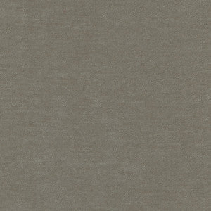 Warm Up Sage by Carole Fabric