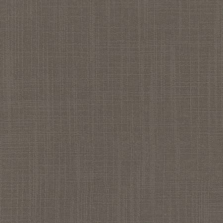 Lets Be Real Pewter by Carole Fabric See It Through 100% Recycled Polyester India 50,000 Wyzenbeek Double Rubs None 54"  - Fabric Carolina -
