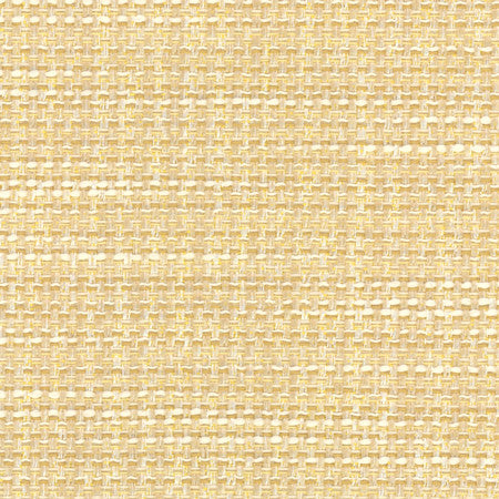 Endurance Sugar Cookie by Carole Fabric Head Start 100% Polyester IFR Hybrid India  None 54"  - Fabric Carolina -