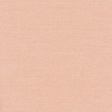 Freshman Coral Pink by Carole Designer Fabric Sunbaked 100% Polyester INDIA 100,000 Wyzenbeek Double Rubs None 54" - Swanky Fabrics -