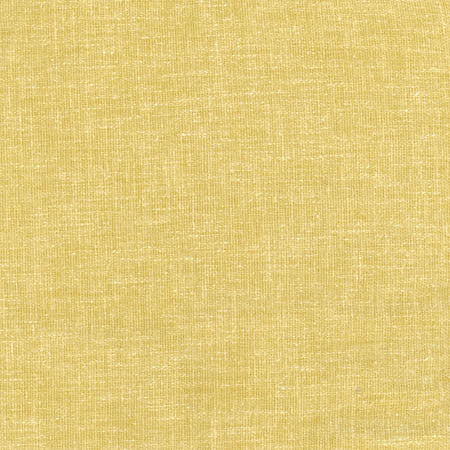 Aspire To Citrus by Carole Fabric Laguna 65% Polyester, 25% Cotton, 10% Linen INDIA  None 54"  - Fabric Carolina -