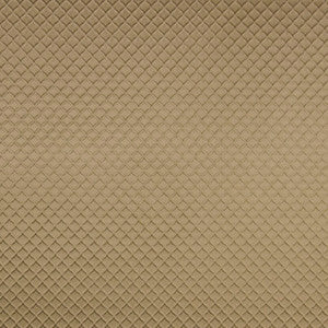 Contemplation Taupe by Carole Fabric