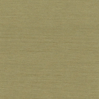 Northwind Sage by Carole Fabric New Northwind Iii 100% Polyester India Passes 9,000 Double Rubs Wyznebeek Horizontal: 0" and Vertical: 0" 54" - Fabric Carolina -