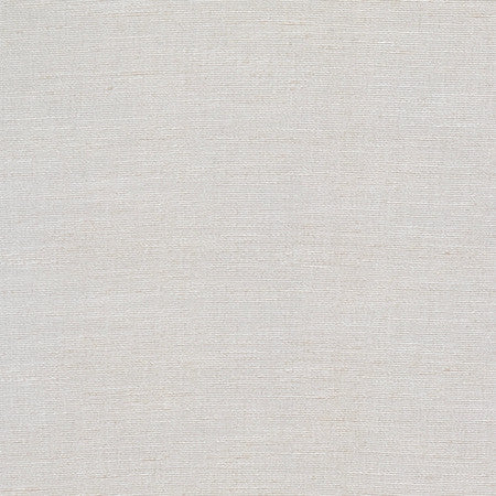 Eminent Fog by Carole Fabric Best Dressed 100% Polyester 20,000 Wyzenbeek Double Rubs None 55" - Fabric Carolina -