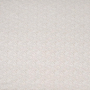Penthouse View Silver by Carole Fabric