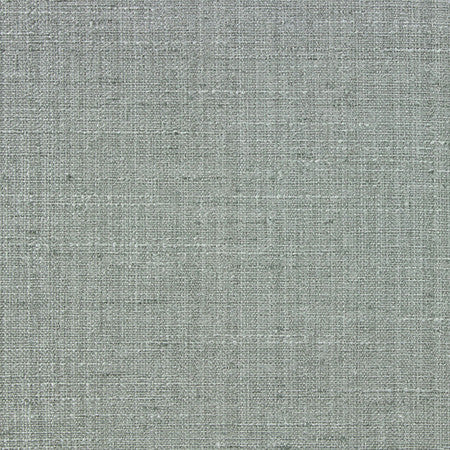 Stand Tall Storm by Carole Fabric Alliance 100% Polyester India  None 54""  - Fabric Carolina -
