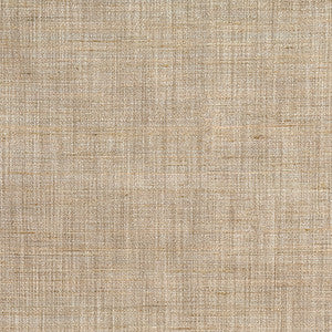 Prodigy Vintage Linen by Carole Fabric