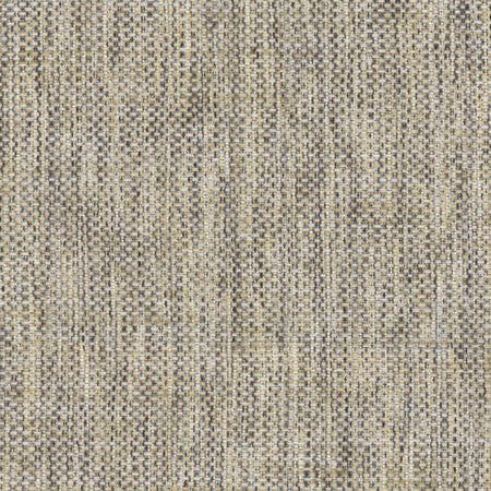 Breather Ash by Carole Fabric Synchrony 100% Polyester Turkey  None 54"  - Fabric Carolina -
